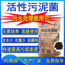 一體化設備啟動(dòng)污泥好氧活性污泥菌