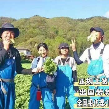 廣東汕尾靠譜的出國(guó)勞務(wù)公司加拿大建筑工叉車(chē)年薪40W