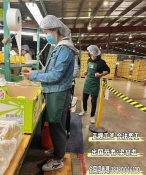 湖北荆州怎么出国劳务新西兰招食品厂月3.5万