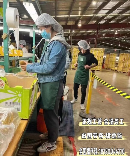 广西百色出国劳务复工复产海外务工新西兰奶粉厂工资月结