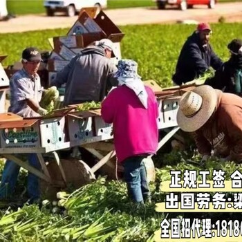 湖北襄樊出国澳大利亚出国劳务工厂普工农场月薪3.5万包食宿