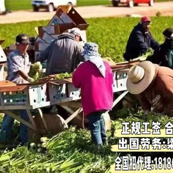 出国劳务英国奶粉厂普工正规出国