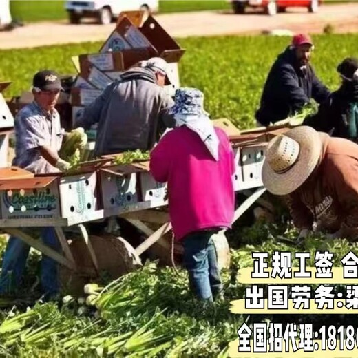 辽宁鞍山出国劳务是什么奶粉厂普工年薪40万