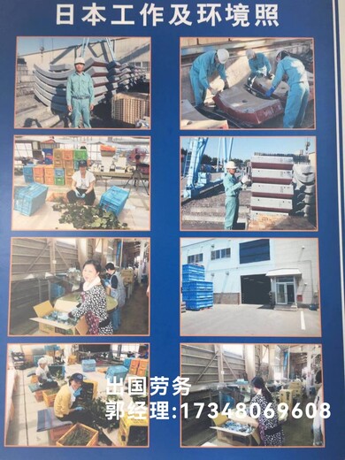 常州打工中国好的出国劳务公司果木采摘工年薪36W