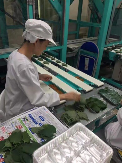 扬州以色列出国劳务新消息种植工养殖工采摘工月薪3万保签出境