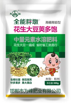 花生大豆莢多飽，花生下針多分叉多結(jié)果多，果大果白300g/袋