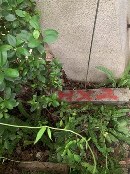 深圳地栓管道漏水查漏，市政管道漏水檢修，球墨鍍鋅管道漏水尋點