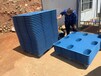 云南红河州建水塑料托盘卡板地台板栈板垫板