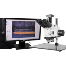 金相系统显微镜