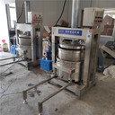 凌科液壓火鍋底料壓榨機(jī)LY100-壓榨中藥、火鍋底料