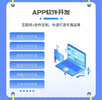 网站开发、app开发、小程序开发未来怎么走