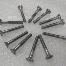耐腐蚀螺丝、耐高温螺丝、化工用螺丝螺母，钨钼钽铌钛锆稀有金属图片