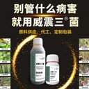 威震三菌助力春耕在行动