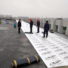 宁海县双面自粘防水卷材改性沥青防水卷材