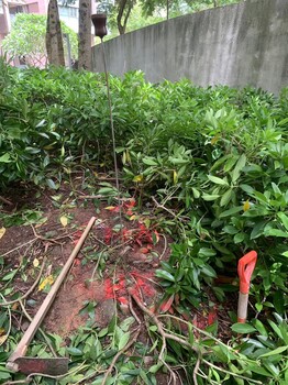深圳地栓管道漏水查漏，直供管道漏水檢修，廠區供水管道漏水檢測