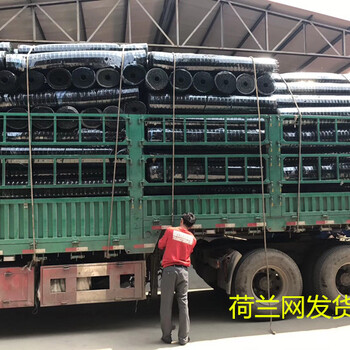 養(yǎng)殖圍網(wǎng)1.5或1.8米高綠色封山圈地圍網(wǎng)武漢荷蘭網(wǎng)30米一卷