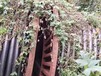 阿拉善左旗積壓電纜回收