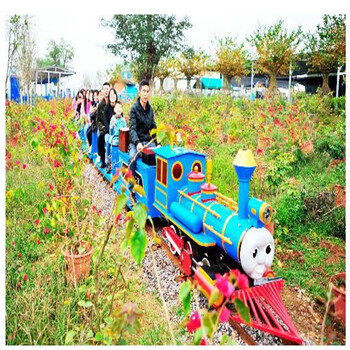 景区游玩小火车户外观光轨道小火车四季游乐设备多功能游乐设备