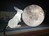 充气月球出租租赁发光兔子出售发光兔子
