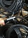 现货全新原装美国邦纳线缆MQDC1-506