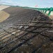 濟寧蜂巢土工格室廠家,濟寧HDPE土工格室批發廠家