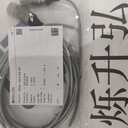 原裝Senex溫度變送器ST-WZPB-241S-L40
