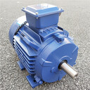 TECO東元電機AEEV3N/TEV3AEUV3N0.18KW-315KW全型號2極4極6極