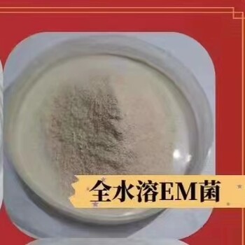 用了EM菌有什么功效