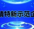 邢台专精特新示范企业项目撰写申报