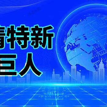 石家庄专精特新“小巨人”企业复核