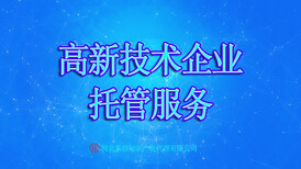 石家庄高新技术企业项目研发立项托管服务图片0