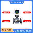 津制管段式TYCO-5600電磁流量計(jì)工業(yè)型