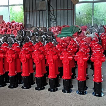 长沙SS100/65-1.6地上式消火栓/地上栓/室外消火栓/室外消防栓