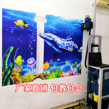 南昌工业级墙体彩绘机3D5D壁画喷绘机户外文化墙美丽乡村打印机图片