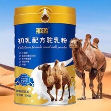 J新疆初乳配方驼乳粉，300g全国裸价供货，诚招代理加盟
