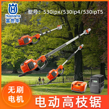 富世華高枝鋸Husqvarna鋰電修枝機530iPX/530iP4/530iPT5高空修枝
