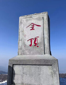 兔飞猛进兆丰年，用团建唤醒团队活力