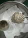 银浆回收报废银浆回收针筒银浆回收贵金属回收