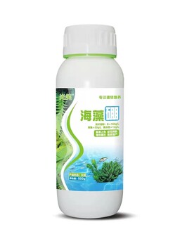 500克海藻有機(jī)硼?；ū９鎏鹕仙藁ㄓ筒?>
                        </div>
                        <div   class=