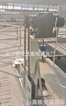 牛棚刮糞板養(yǎng)牛場刮糞板養(yǎng)殖場智能刮糞板廠家