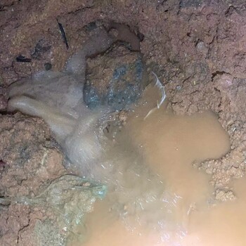 深圳市政管漏水檢漏，南山給水管爆管搶修，消防水管道漏水查漏
