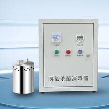 水箱自洁消毒器内置式WTS-2A水塔外置供水设备臭氧杀菌养殖消毒机