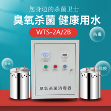 水箱自洁消毒器灭菌WTS-2B臭氧发生器生活水消防水箱水处理灭菌机