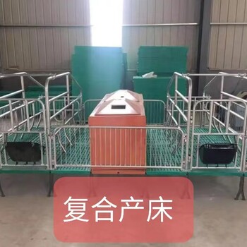 養(yǎng)豬場(chǎng)母豬產(chǎn)床雙體復(fù)合產(chǎn)床