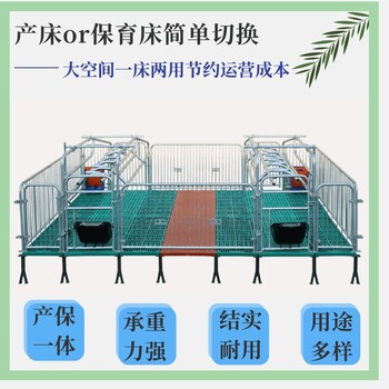 養(yǎng)豬場(chǎng)母豬產(chǎn)床雙體復(fù)合產(chǎn)床