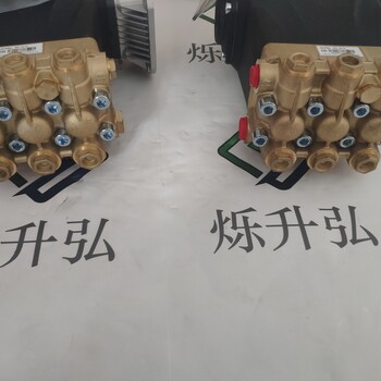 意大利直發(fā)AR高壓柱塞泵RG21.25HN庫存直發(fā)