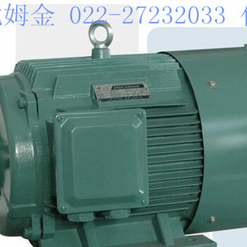 西門子貝得1TL0001系列節(jié)能電機(jī)