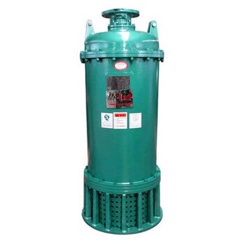 BQS300-80-110/N礦用隔爆型排污排沙潛水電泵