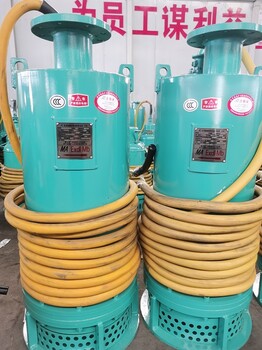 15KWBQS系列礦用隔爆型潛水泵