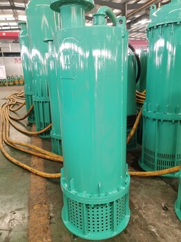 15KWBQS系列礦用隔爆型潛水泵